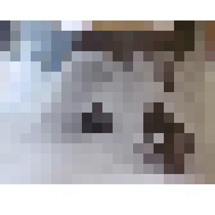 Фотография. Катание с горок