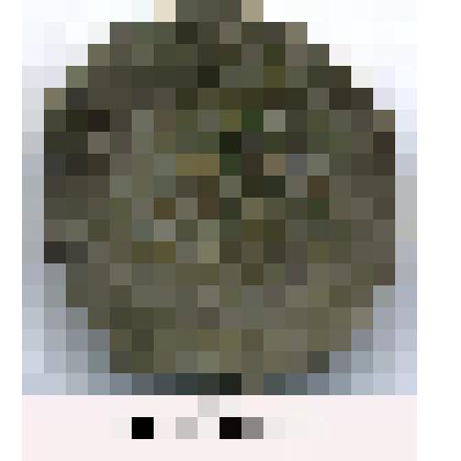 Монета. Крымское ханство.Селим III, 1765-1767 гг