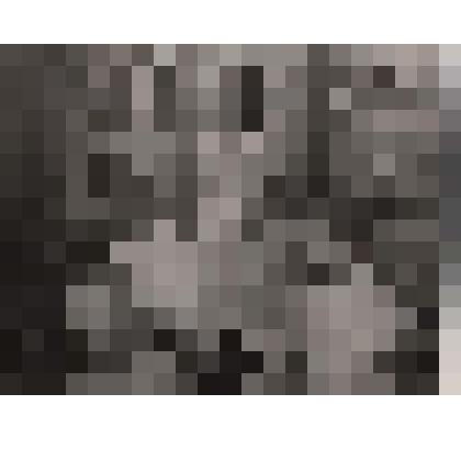 Фото ч/б. Нестеров И.А. с сыном Владимиром, братом Василием и племянниками на завалинке дома. На заднем плане окна и бревенчатая стена