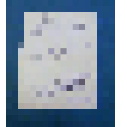 Документ. Черновик ответа на письмо от учеников школы N37, дружина которой носит  имя Н. Островского г. Херсона УССР.,