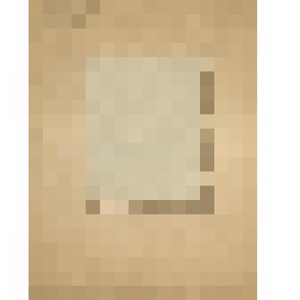 Автолитография. На Пулковских высотах-танковая атака