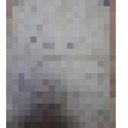 Письма А.Злобина матери Анне Михайловне