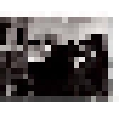 Фотография. Кирса, праздник труда, вручение трудовых книжек