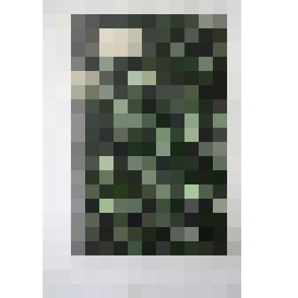 Брошюра. Отчет общества содействия женскому сельско-хозяйственному образованию в С.-Петербурге 1899 г. Типо-литография и переплетная Ю.А. Мансфельд