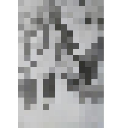 Фотография черно - белая