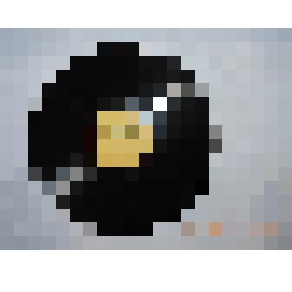 Грампластинка Лидия Клемент «Здравствуй» (А. Петров – С. Фогельсон)