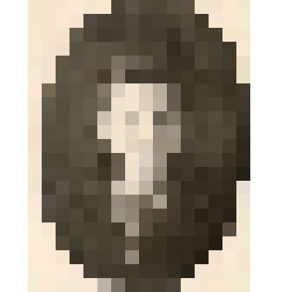 Фотография. Смирнова Мария Михайловна