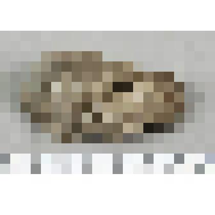 Заготовка рубящего орудия