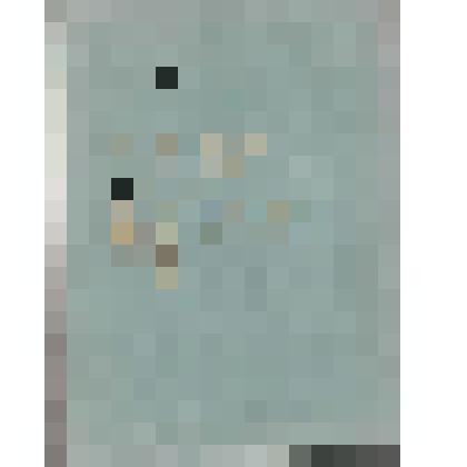 Книга. Ранний восход