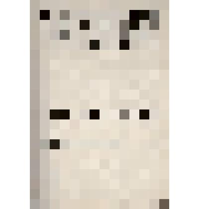 Экономическое обоснование схеме нового города Энгельса. Том 1. Текстовая часть к схеме планировки нового города  Энгельс. Саратовский краевой государственный НИИ градостроительства "Крайгипрогор"