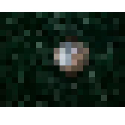 Монета достоинством "2 копейки" 1903 г