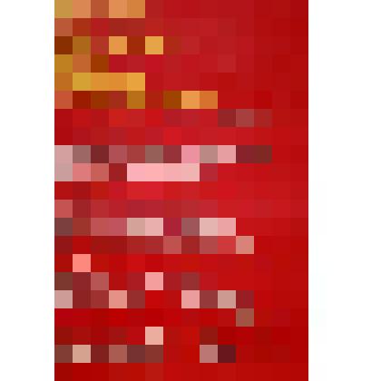 "Центральный Комитет Болгарской коммунистической партии призывает рабочий класс - ..." Изд. "Сентябрь"