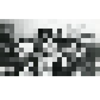 Фотография. И.В. Тогаченкова среди гостей-ветеранов Великой Отечественной войны