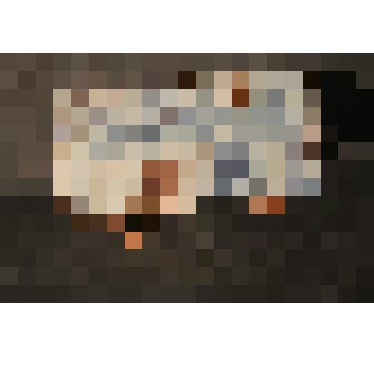 Изразец печной, стенной, гладкий расписной. Фрагмент