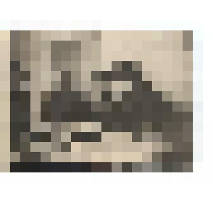 Фото/чб. Майор Зайцев Н.Е. (в центре) с сослуживцами в кабинете за столом с бумагами. Действующая армия ВОВ. 1944