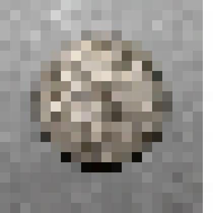 Монета советская достоинства 20 коп