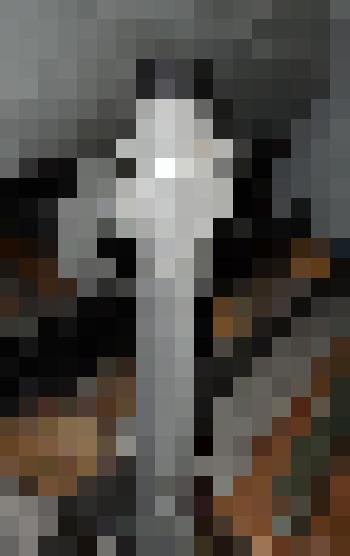 Стойка гидравлическая