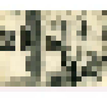 Фотография. Здание Крымского областного краеведческого музея. Фото М.Е. Каца