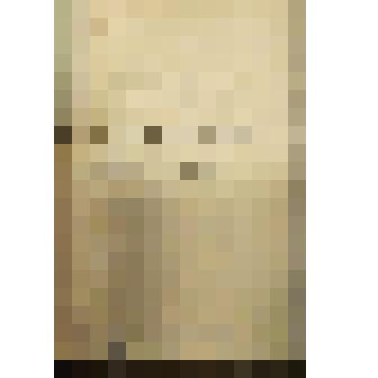 Fuhrer durch die Kunstsammlungen des Nationalmuseums. (Путеводитель по коллекциям Национального музея.) - на нем. яз