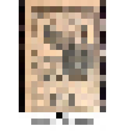 Марка, номиналом 14 копеек. Серия 1-й Всесоюзный пионерский слёт