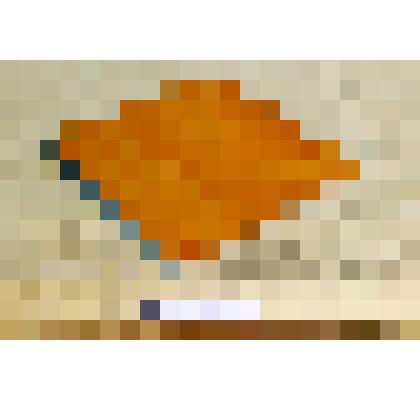 Заглушка на фотокамеру ФК-13х18