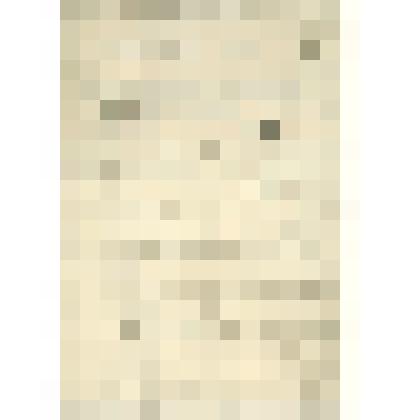 Рукопись. Проект правил , определяющих  устройство церковно-школьного музея Сольвычеегодского  отделения  Совета  Стефана Прокопьевского братства