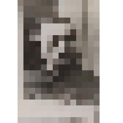 Горожанин Валерий Михайлович