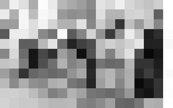 Фото. Маяковские А.А. и Л.В. и Езерская А.С. на В.С.Х.В