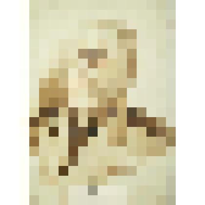 Рисунок. Портрет Виноградова Ивана Николаевича, генерал-майора в отставке, участника революционных событий в г. Кинешме в 1907 году