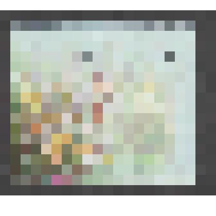 Марка почтовая. РФ. ИТЦ "Марка"-2209. Кандык кавказский. К 125-летию Сочинского парка «Дендрарий». Флора России. 29 руб. 29. 03. 2017