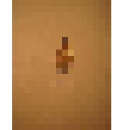 Жетон с изображением Л.Н.Толстого