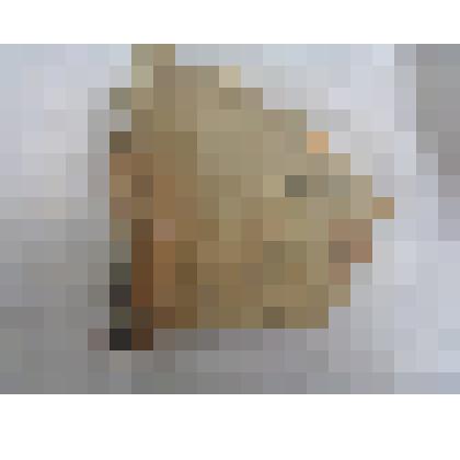 Черепица – калиптера глиняной фрагмент