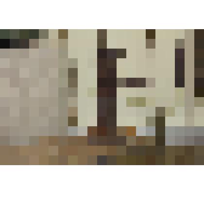 Домашняя мельница, мельница