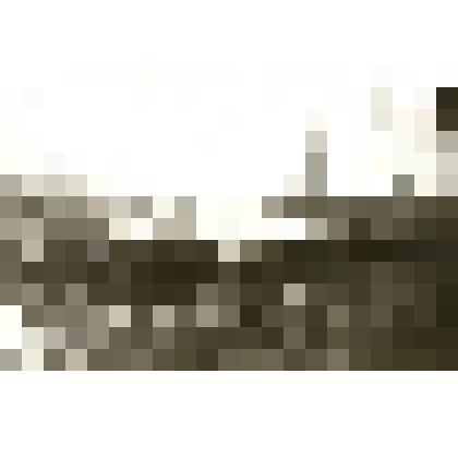 Фотография. Проводятся занятия с ЧОН. 1923 год