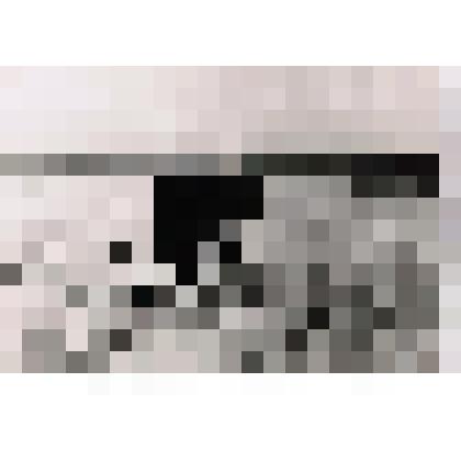 Фотография. Садретдинов А.М. и Городничев И.Н