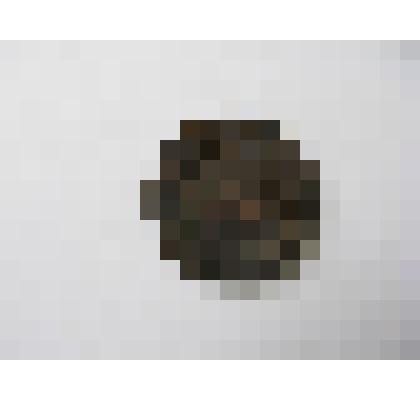 Монета. Копейка