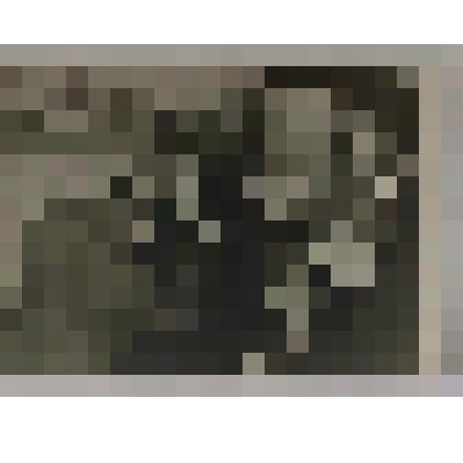 Фотография. М.А. Суслов, А.М. Токарев, А.К. Рябошапко, Г.П. Штерн