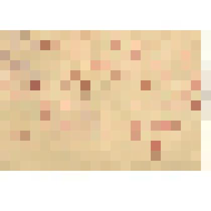 Удостоверение №6-0 в том, что Батанов Никандр Михайлович является председателем Малетинского сельпо деревни Малетино Каменского района Западно-Сибирского края