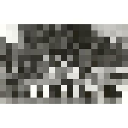 Фотография.День пионерии. 1976 год