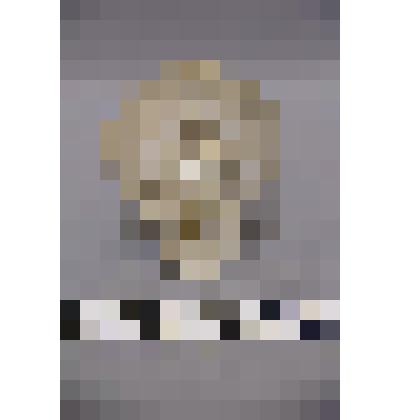 коллекция В.Ф. Лагодича. Талисман каменный стоящий, выполнен в виде реалистично выполненной головы человека. С нимбом над головой, лицевая часть отколота и приклеена. Камень светло серого цвета