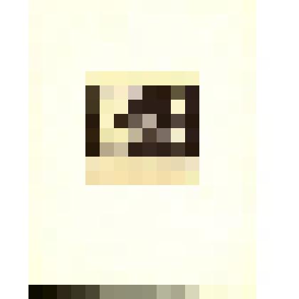 Портрет В.Т. Шаламова