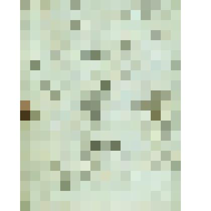 Отпуск императорского Указа