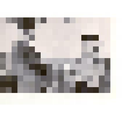 Фотография: секретарь Каменского горкома ВЛКСМ Сахаров вручает путевку комсомолке Аршинцевой Раисе, изъявившей желание ехать на работу по животноводству