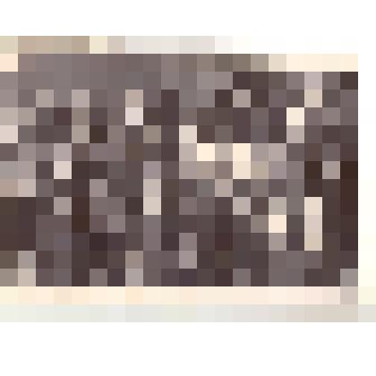 Фотография: кустовой семинар старших пионервожатых горкома и райкома ВЛКСМ в г.Камне-на-Оби Алтайского края