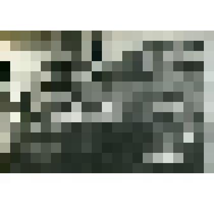 Фотография. Стрелковый отдел