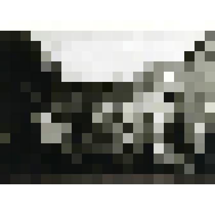 Фотография. Колхозники совхоза им. Ленина на отдыхе. Село Дьяковское