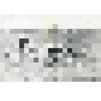 Фотография. 5-е звено З.И. Гороховой – Гробовой колхоза "Огородный гигант" им. Н.С. Хрущева