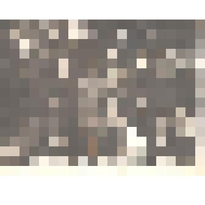 Фотография. Коллектив Пестречинского «Опытного поля»