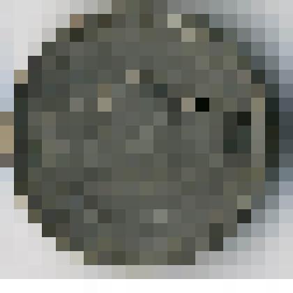 Монета 5 центов