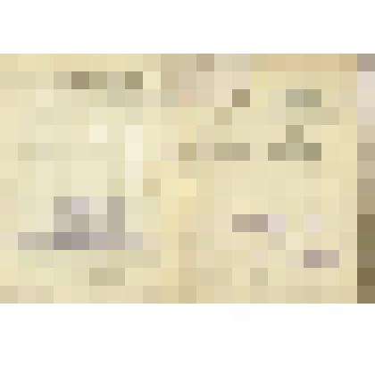 Членский билет. Всероссийский профессиональный Союз рабочих народного питания и общежитий